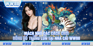 cách chơi rồng hổ